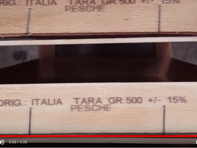 Sistema marcaje caja palets madera Sistema marcaje caja palets madera