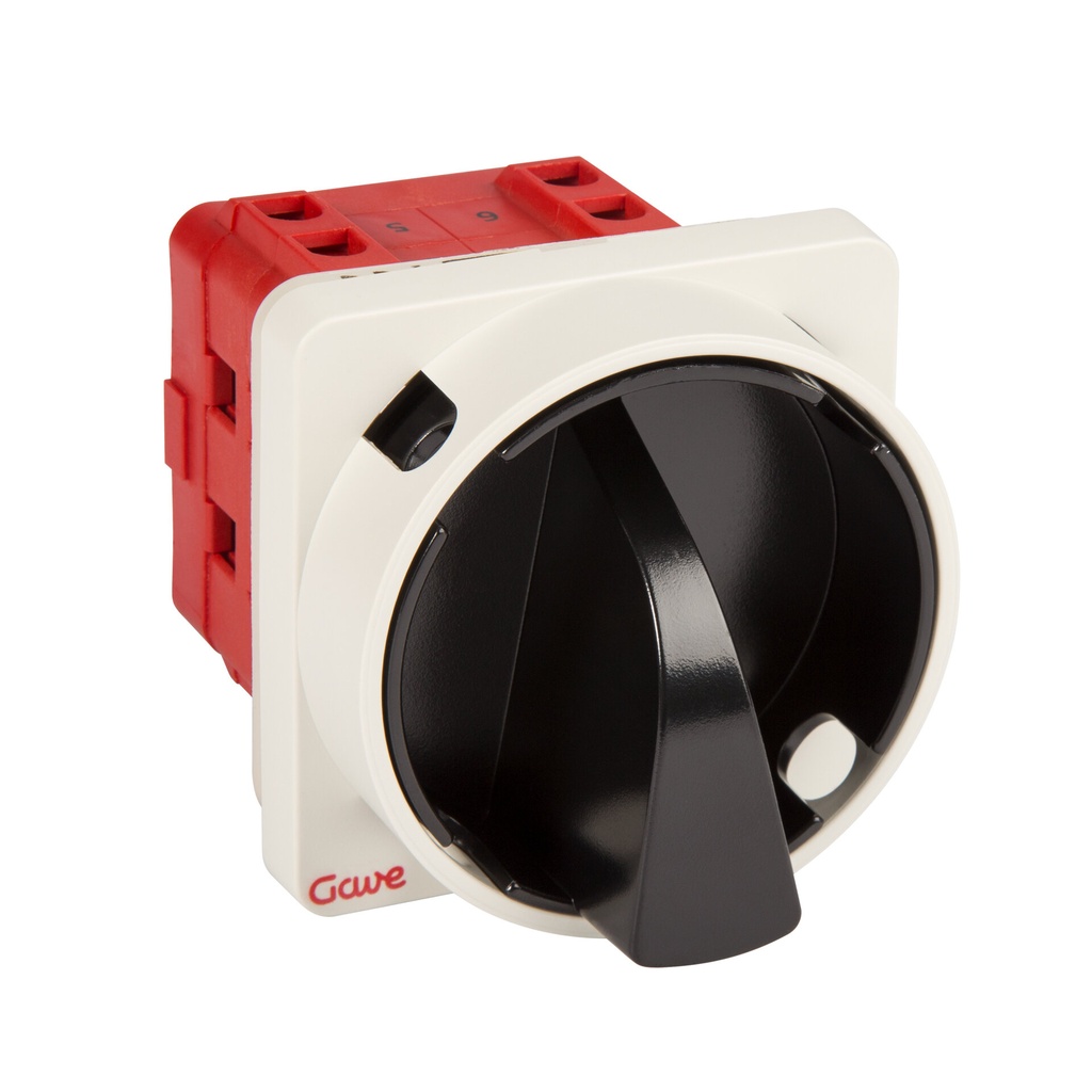 INTERRUPTOR 4P.25A. D1 BLOQUEO CANDADO NEGRO/GRIS